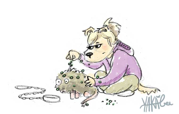 comics enlever les graines de gaillet gratteron de son chien par yakabee